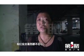 网贷公司恶意辱骂催收：揭开金融行业黑暗面