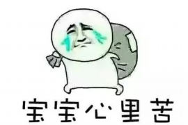 郑州714高炮催收专员：职业解析与案例分析