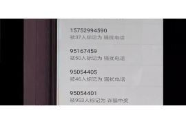 讨债堵派出所大门：探讨讨债行为的法律边界与应对策略