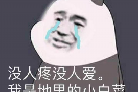 /img/993.png/img/993.png催收上门真实录音对话：揭秘债务催收背后的真实情况/img/993.png